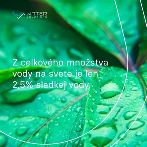 Ilustrácia: Postup správneho čistenia húb (kefa, nôž, voda)