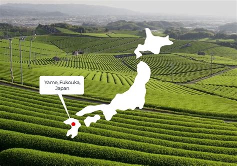 Mapa Japonska s vyznačenými regiónmi pestovania čaju Matcha (Uji, Nishio, Yame, Shizuoka)