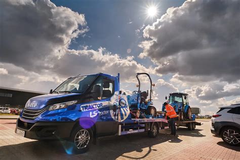 Mladá breza s opornou sadou pre stabilný rast.