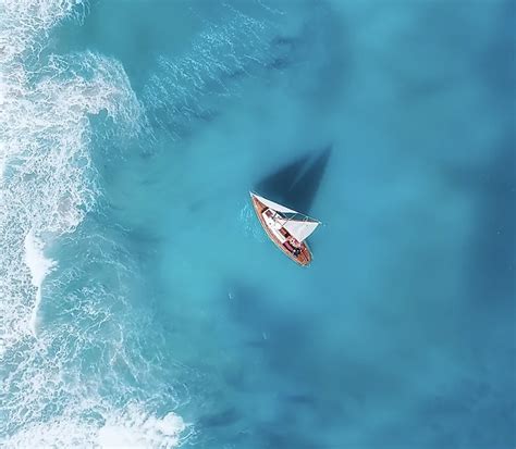 Schéma optimálneho umiestnenia skleníka s ohľadom na slnečné svetlo a ochranu pred vetrom