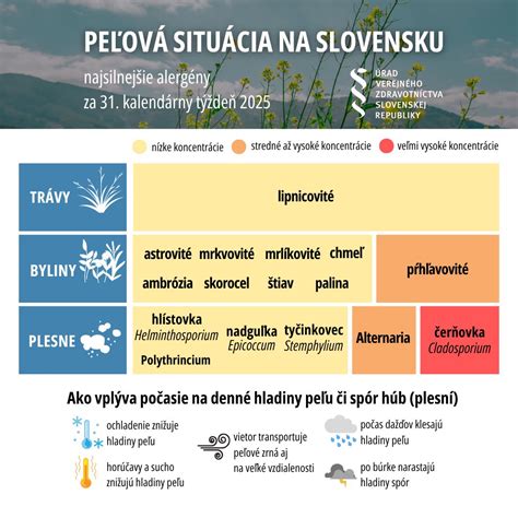 Náčrt rozloženia rastlín v záhone - vysoké vzadu, stredné v strede, nízke vpredu