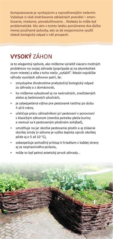 Súhrnná infografika: Prehľad bežných burín s kvetmi, ich vizuálne znaky a využitie v záhrade.