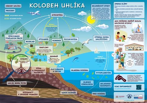 Infografika: Kolobeh uhlíka pri využívaní biomasy