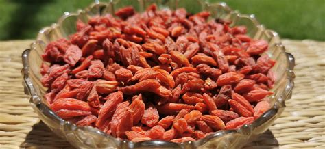 Snímka zblízka na plody kustovnice čínskej (goji) v sušenom stave