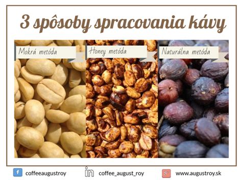 Infografika: Kávová čerešňa a vrstvy počas spracovania Honey metódou