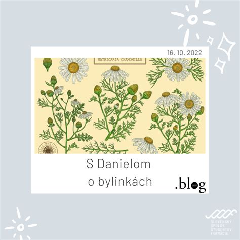 fotografia šálky rumančekového čaju a kozmetických produktov s rumančekom