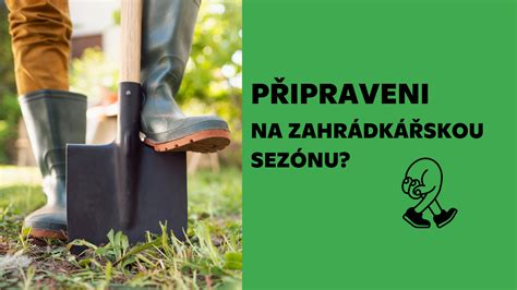 Inštruktážna schéma prípravy výsadbovej jamy s drenážnou vrstvou a správnym ukotvením kmeňa ku kolu.