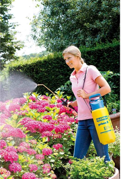 Tematické foto: Profesionálny postrekovač Gloria pri aplikácii oleja alebo inej stavebnej látky