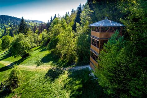 fotografia vinohradu na Slovensku s výhľadom na krajinu