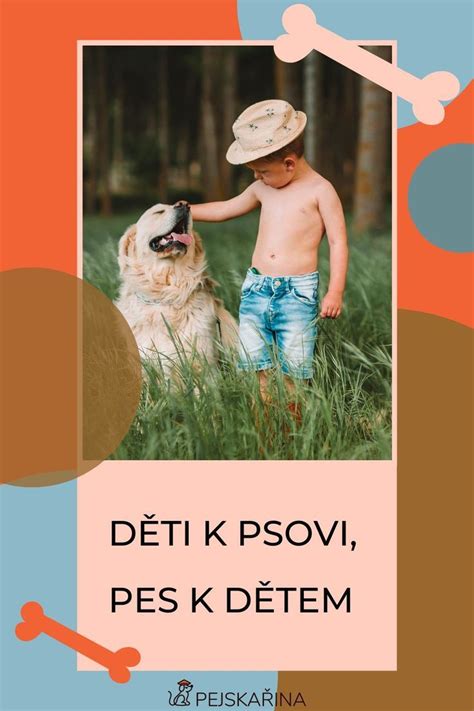 fotografia muža, ktorý sa opatrne približuje k psovi a ponúka mu maškrtu