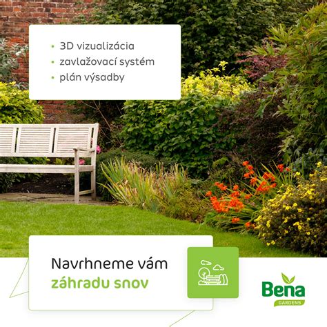 Infografika s detailným postupom výsadby stromčeka do záhrady.