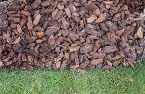 Fotografia: rozdielne druhy mulčovacích kôr - smreková, borovicová, píniová