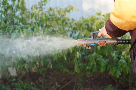 Záhradník aplikujúci fungicídny postrek na rastliny