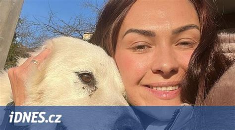 Foto chorého, zanedbaného psa s viditeľnými zdravotnými problémami