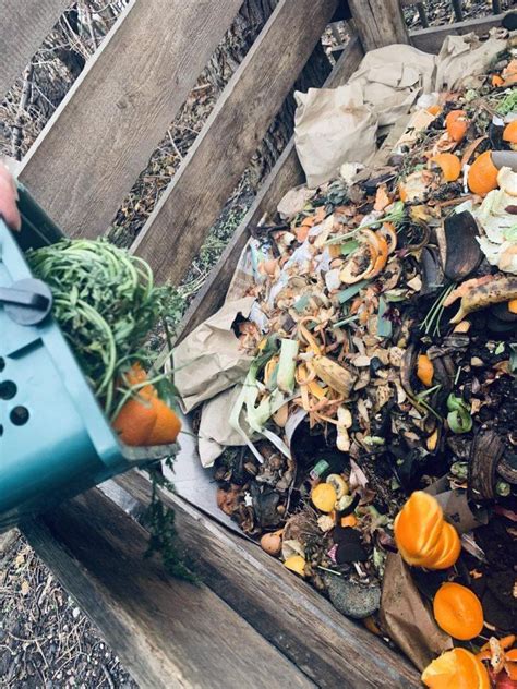 Detailný pohľad na fermentovaný Bokashi materiál po dvoch týždňoch