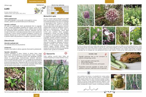 Schéma systémového pôsobenia pesticídu v rastline