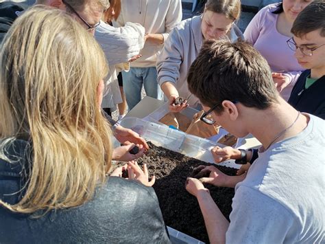 Schéma absorpcie chelátov rastlinami