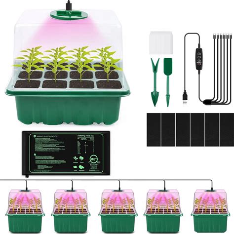 Schéma: Výsev semien povojníka do kvetináča