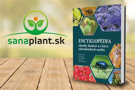 ilustrácia rastlín odpudzujúcich škodcov pri zeleri