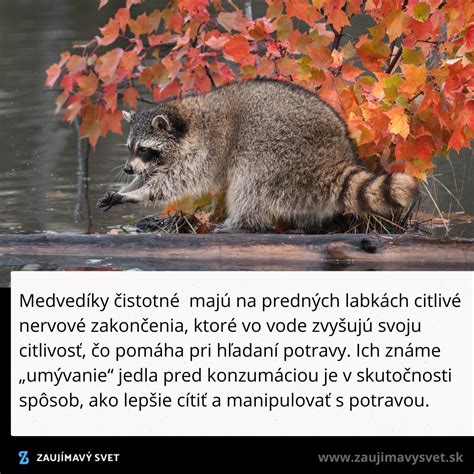 ilustračné foto kalendára s vyznačenými jesennými mesiacmi a teplomerom merajúcim teplotu vody v jazierku