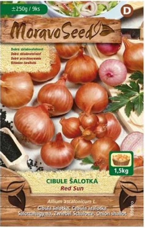 Fotografia rôznych odrôd cibule (žltá, červená, šalotka) v priereze