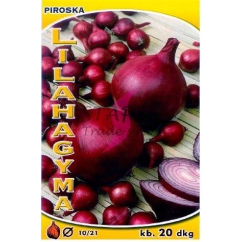Uschnutá cibuľa zavesená vo vrkočoch v chladnej komore