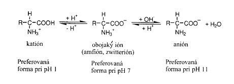 Zloženie a štruktúra draselnej soli (chemická štruktúra)