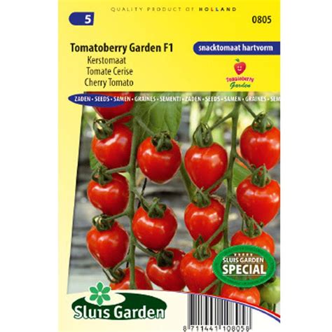 Makro záber: Červené srdcové plody rajčiaka Gardenberry F1 na strapci