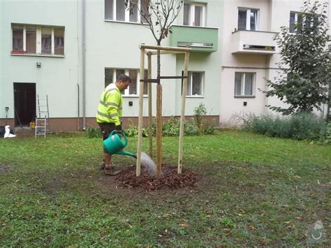 ilustračné foto: presádzanie veľkého listnatého stromu pomocou stroja