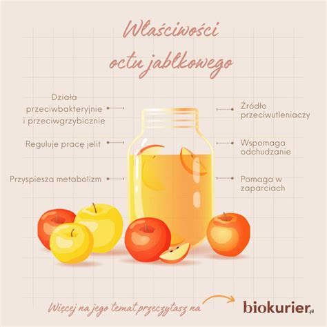 infografika: porovnanie domáceho postreku z octu a priemyselných herbicídov