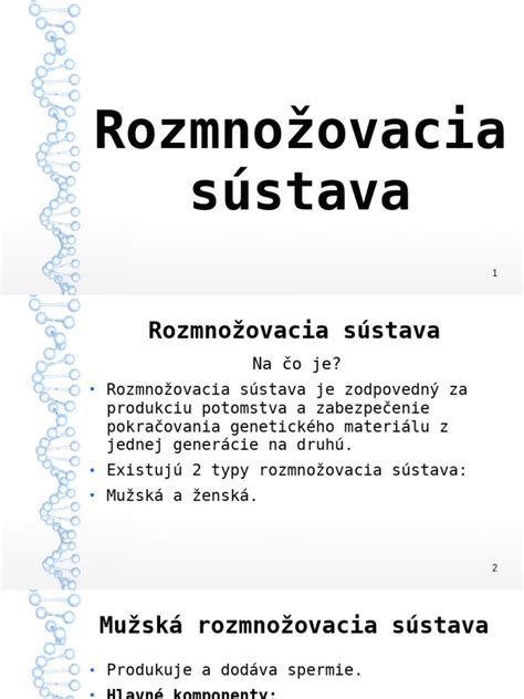 Schéma: Rozmnožovacia nádrž pre tetry s roštom a jemnolistými rastlinami