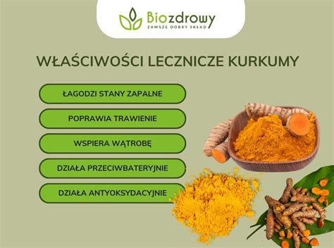 Infografika: postup sadenia podzemkov kurkumy do kvetináča