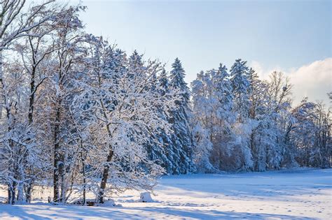 Tematické foto: Grécka krajina s ihličnatými stromami a morským pobrežím
