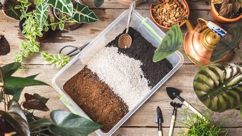 Schéma vrstvenia substrátu v kvetináči: drenáž, rúno a pôdny substrát