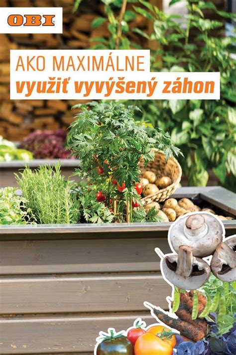 Informatívna schéma záhrady kombinujúcej zeleninu, bylinky a jedlé kvety