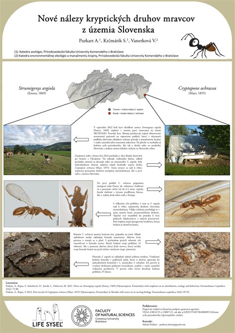 Porovnávacia infografika rôznych druhov mravcov, ktoré sa vyskytujú v záhradách a domácnostiach