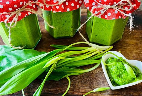 Tematické foto: Čerstvé pesto z medvedieho cesnaku