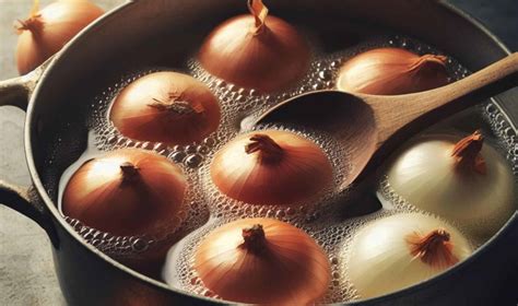 Infografika: Zloženie cibuľových šupiek a ich účinky na rastliny