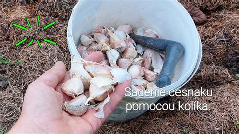 Vizualizácia postupu lúpania cesnaku pomocou noža