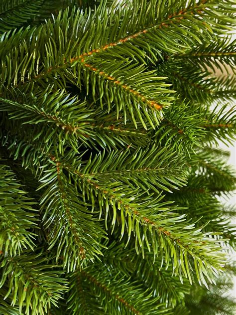 Detailný záber na 3D ihličie vianočného stromčeka Jedľa Lux pre ilustráciu realistického vzhľadu.