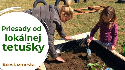 Ilustrácia sadenia priesady do hlbokej jamky s ochranným plastovým valcom