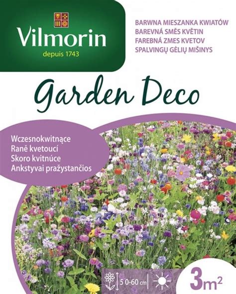 farebná zmes kvitnúcich cínii v záhradnom záhone