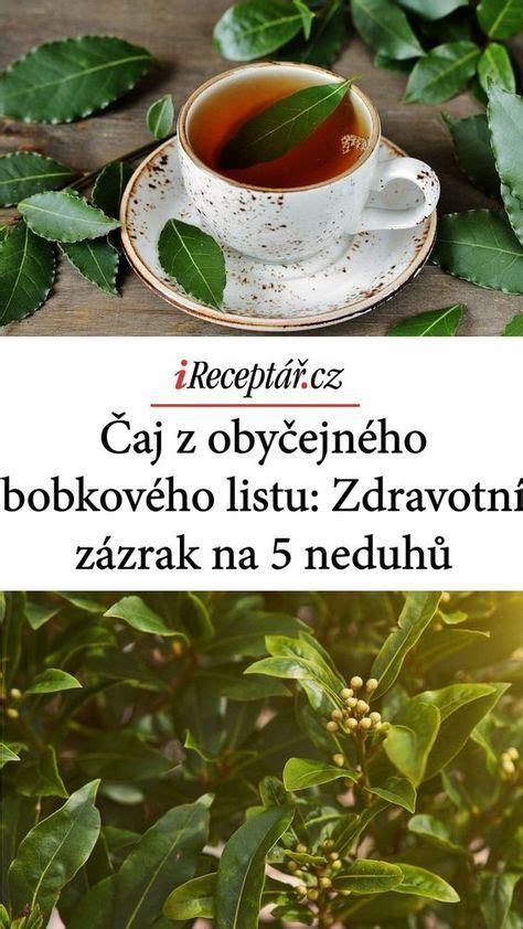 schéma prípravy prírodného hnojiva z bobkového listu a jeho aplikácie k izbovým kvetom