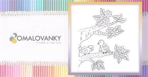 ukážka omaľovánky s motívom Vtáky na konáriku