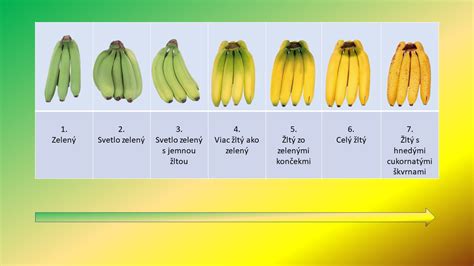 Infografika zobrazujúca rôzne stupne zrelosti ovocia a ich senzorické charakteristiky