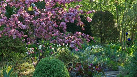 ilustračné foto: rozkvitnuté okrasné kríky v záhrade