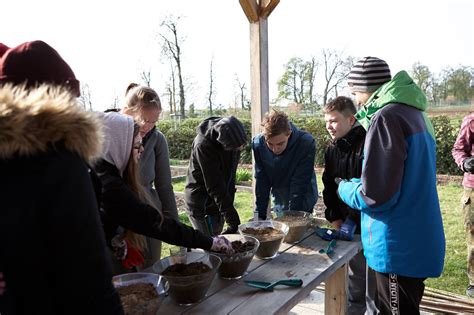 Tematické foto s kvitnúcimi begóniami