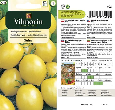 Schéma rezu plodom salaky ukazujúca žltkastú dužinu a nejedlé semená vo vnútri