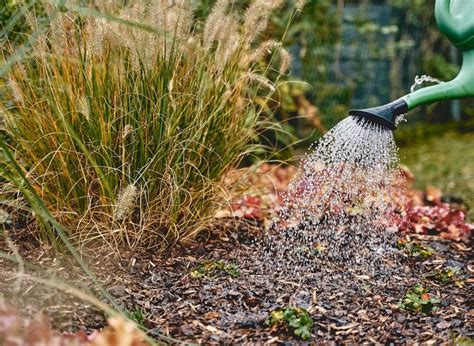 Infografika rozdelenia dávkovania hnojiva počas vegetačnej sezóny