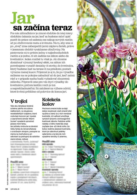 koláž jarných, letných, jesenných a zimných kompozícií v kvetináčoch